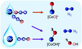 Graphical abstract: Decomposition of nitrous oxide in hydrated cobalt(i) clusters: a theoretical insight into the mechanistic roles of ligand-binding modes