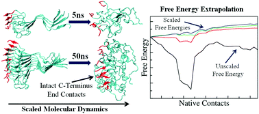 Graphical abstract: Kinetic and thermodynamic stability comparison for the fibrillar form of small amyloid-β(1–42) oligomers using scaled molecular dynamics