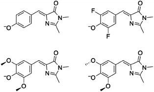 Graphical abstract: A photoelectron imaging study of the deprotonated GFP chromophore anion and RNA fluorescent tags