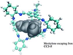 Graphical abstract: Evaluation of packing single and multiple atoms and molecules in the porous organic cage CC3-R