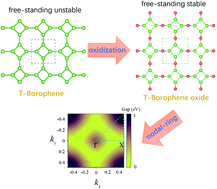 Graphical abstract: An ideal two-dimensional nodal-ring semimetal in tetragonal borophene oxide