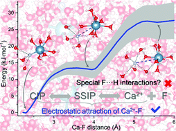Graphical abstract: Computational and solubility equilibrium experimental insight into Ca2+–fluoride complexation and their dissociation behaviors in aqueous solutions: implication for the association constant measured using fluoride ion selective electrodes