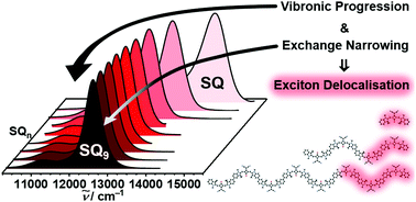 Graphical abstract: Fluorescence band exchange narrowing in a series of squaraine oligomers: energetic vs. structural disorder