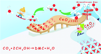 Graphical abstract: Formation of dimethyl carbonate via direct esterification of CO2 with methanol on reduced or stoichiometric CeO2(111) and (110) surfaces