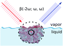 Graphical abstract: First hyperpolarizability of water at the air–vapor interface: a QM/MM study questions standard experimental approximations