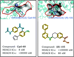 Graphical abstract: Rational design of selective HDAC2 inhibitors for liver cancer treatment: computational insights into the selectivity mechanism through molecular dynamics simulations and QM/MM calculations