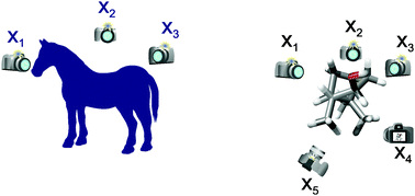 Graphical abstract: Model free analysis of experimental residual dipolar couplings in small organic compounds