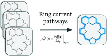 Graphical abstract: Magnetically induced ring currents in naphthalene-fused heteroporphyrinoids