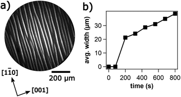 Graphical abstract: Stationary stripe patterns and chemical waves on the bimetallic Rh(110)/Ni surface during the H2 + O2 reaction