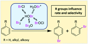 Graphical abstract: Structural effects on the bromination rate and selectivity of alkylbenzenes and alkoxybenzenes in aqueous solution