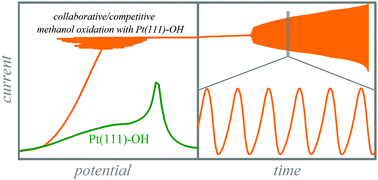 Graphical abstract: Oscillatory dynamics during the methanol electrooxidation reaction on Pt(111)