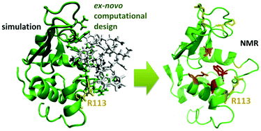 Graphical abstract: Insights on peptide topology in the computational design of protein ligands: the example of lysozyme binding peptides