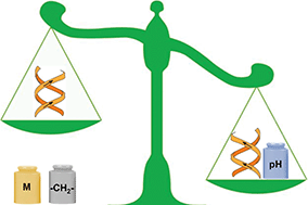 Graphical abstract: Biliverdin chiral derivatives as chiroptical switches for pH and metal cation sensing