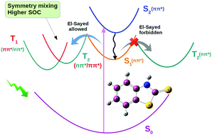 Graphical abstract: Surface hopping dynamics reveal ultrafast triplet generation promoted by S1–T2–T1 spin-vibronic coupling in 2-mercaptobenzothiazole