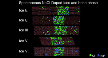 Graphical abstract: Spontaneous NaCl-doped ices Ih, Ic, III, V and VI. Understanding the mechanism of ion inclusion and its dependence on the crystalline structure of ice