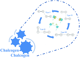 Graphical abstract: Unusual chalcogen⋯chalcogen interactions in like⋯like and unlike Y [[double bond, length as m-dash]] C [[double bond, length as m-dash]] Y⋯Y [[double bond, length as m-dash]] C [[double bond, length as m-dash]] Y complexes (Y = O, S, and Se)