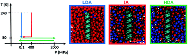 Graphical abstract: The role of high-density and low-density amorphous ice on biomolecules at cryogenic temperatures: a case study with polyalanine