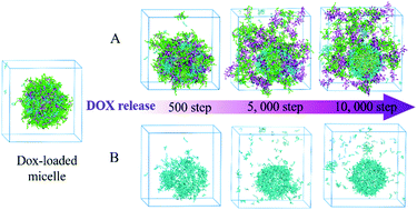 Graphical abstract: DPD simulations on mixed polymeric DOX-loaded micelles assembled from PCL-SS-PPEGMA/PDEA–PPEGMA and their dual pH/reduction-responsive release