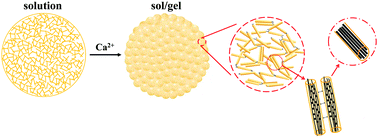 Graphical abstract: Multiscale structural and rheological features of colloidal low-methoxyl pectin solutions and calcium-induced sol–gel transition