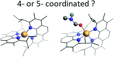 Graphical abstract: Excited-state structure of copper phenanthroline-based photosensitizers
