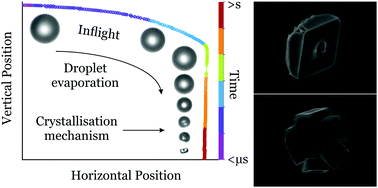Graphical abstract: High time resolution measurements of droplet evaporation kinetics and particle crystallisation