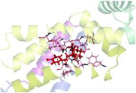 Graphical abstract: New ethionamide boosters and EthR2: structural and energetic analysis