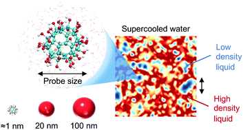Graphical abstract: Exploring the validity of the Stokes–Einstein relation in supercooled water using nanomolecular probes