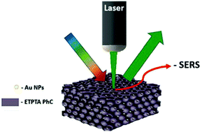 Graphical abstract: Surface-enhanced Raman scattering in ETPTA inverse photonic crystals with gold nanoparticles