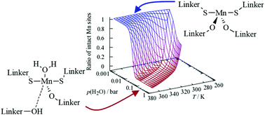 Graphical abstract: A decomposition mechanism for Mn2(DSBDC) metal–organic frameworks in the presence of water molecules