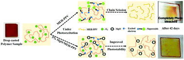 Graphical abstract: Role of defective states in MgO nanoparticles on the photophysical properties and photostability of MEH-PPV/MgO nanocomposite