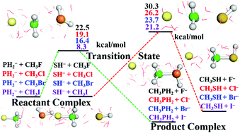 Graphical abstract: Theoretical investigation of the SN2 mechanism of X− [X = SH, PH2] + CH3Y [Y = F, Cl, Br, I] reactions in water