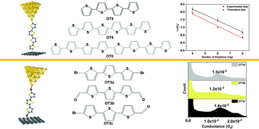 Graphical abstract: Oligothiophene molecular wires at graphene-based molecular junctions