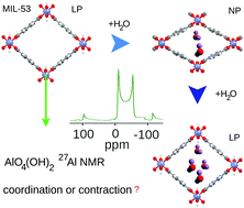 Graphical abstract: Dissecting the effects of water guest adsorption and framework breathing on the AlO4(OH)2 centres of metal–organic framework MIL-53 (Al) by solid state NMR and structural analysis