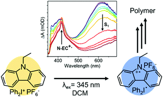 Graphical abstract: Transient absorption spectroscopy of the electron transfer step in the photochemically activated polymerizations of N-ethylcarbazole and 9-phenylcarbazole