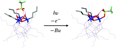 Graphical abstract: UV and VUV-induced fragmentation of tin-oxo cage ions