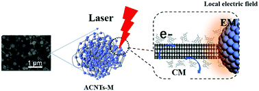 Graphical abstract: A novel sensitive ACNTs–MoO2 SERS substrate boosted by synergistic enhancement effect