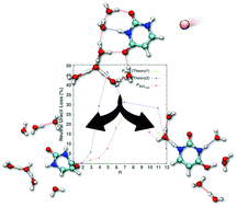 Graphical abstract: Collision-induced dissociation of protonated uracil water clusters probed by molecular dynamics simulations