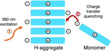 Graphical abstract: Critical role of H-aggregation for high-efficiency photoinduced charge generation in pristine pentamethine cyanine salts