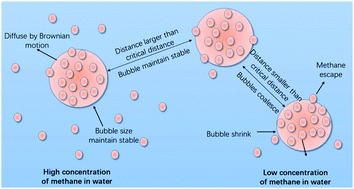 Graphical abstract: Molecular simulations on the stability and dynamics of bulk nanobubbles in aqueous environments