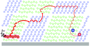 Graphical abstract: Diffusion-enhanced exciton dissociation in single-material organic solar cells