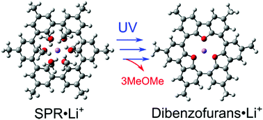 Graphical abstract: Spherand complexes with Li+ and Na+ ions in the gas phase: encapsulation structure and characteristic unimolecular dissociation