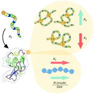 Graphical abstract: Topological principles of protein folding