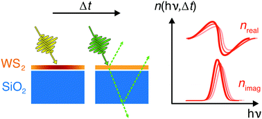 Graphical abstract: Ultrafast evolution of the complex dielectric function of monolayer WS2 after photoexcitation