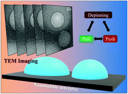 Graphical abstract: Dynamic interplay between interfacial nanobubbles: oversaturation promotes anisotropic depinning and bubble coalescence