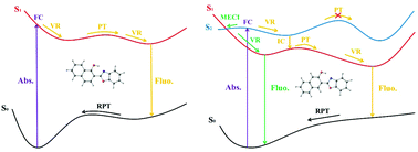 Graphical abstract: Dual fluorescence of 2-(2′-hydroxyphenyl) benzoxazole derivatives via the branched decays from the upper excited-state