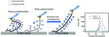 Graphical abstract: Single-molecule studies reveal the distinction of strong and weak polyelectrolytes in aqueous solutions