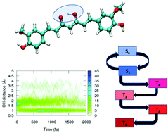 Graphical abstract: Don’t help them to bury the light. The interplay between intersystem crossing and hydrogen transfer in photoexcited curcumin revealed by surface-hopping dynamics