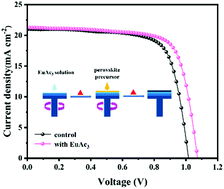 Graphical abstract: Interface modification of an electron transport layer using europium acetate for enhancing the performance of P3HT-based inorganic perovskite solar cells