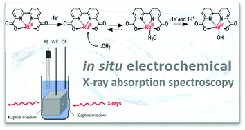 Graphical abstract: Identification of intermediates of a molecular ruthenium catalyst for water oxidation using in situ electrochemical X-ray absorption spectroscopy