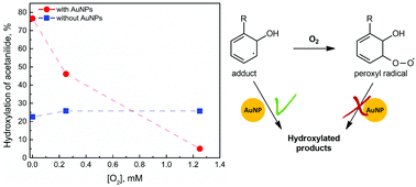 Graphical abstract: The mechanism of organic radical oxidation catalysed by gold nanoparticles